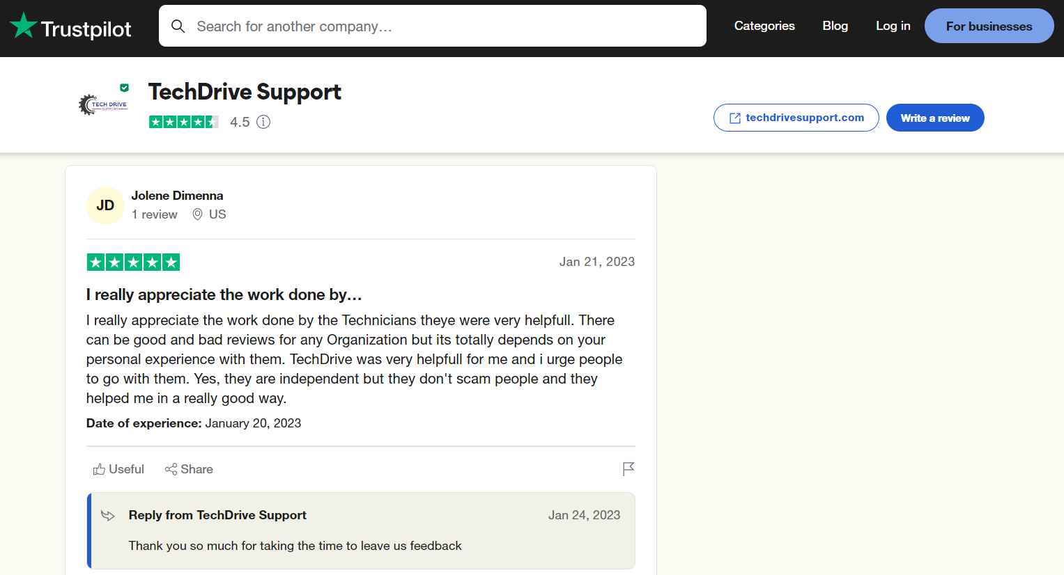 Trustpilot review - TechDrive Support Inc